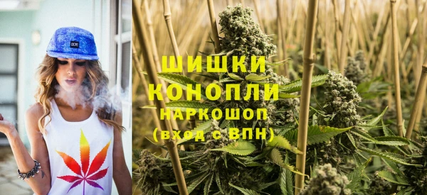кокс Вяземский