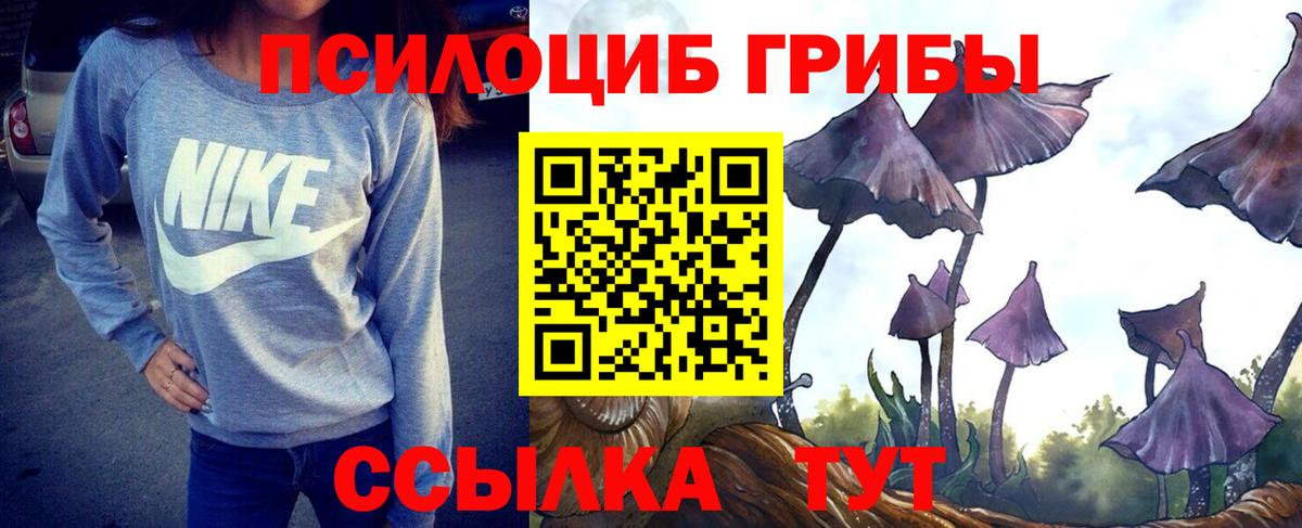 Галлюциногенные грибы ЛСД  Вход с VPN  Мценск  Галлюциногенные грибы мухоморы 