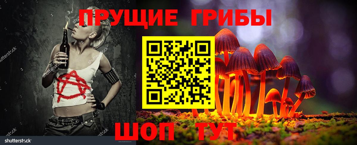 Псилоцибиновые грибы Psilocybine cubensis  Мценск 